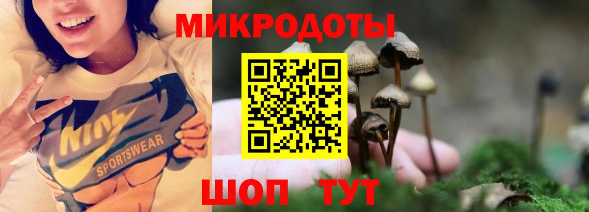 купить закладку  Галлюциногенные грибы мицелий  Псилоцибиновые грибы MAGIC MUSHROOMS  Вход с VPN  Пугачёв 